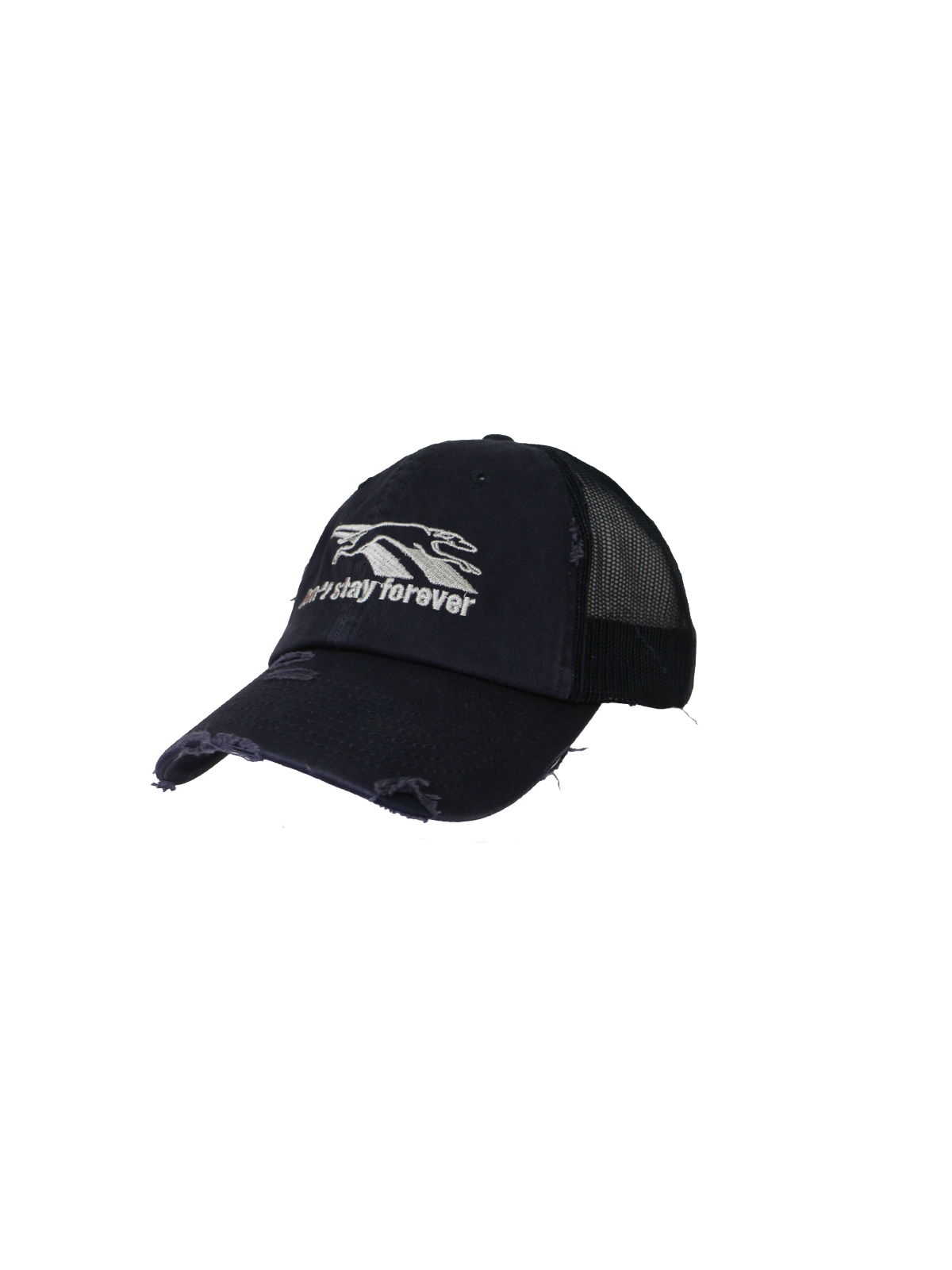 greyhound/trucker