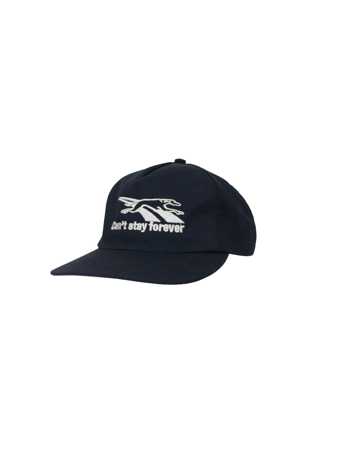 greyhound/snapback (made in usa)