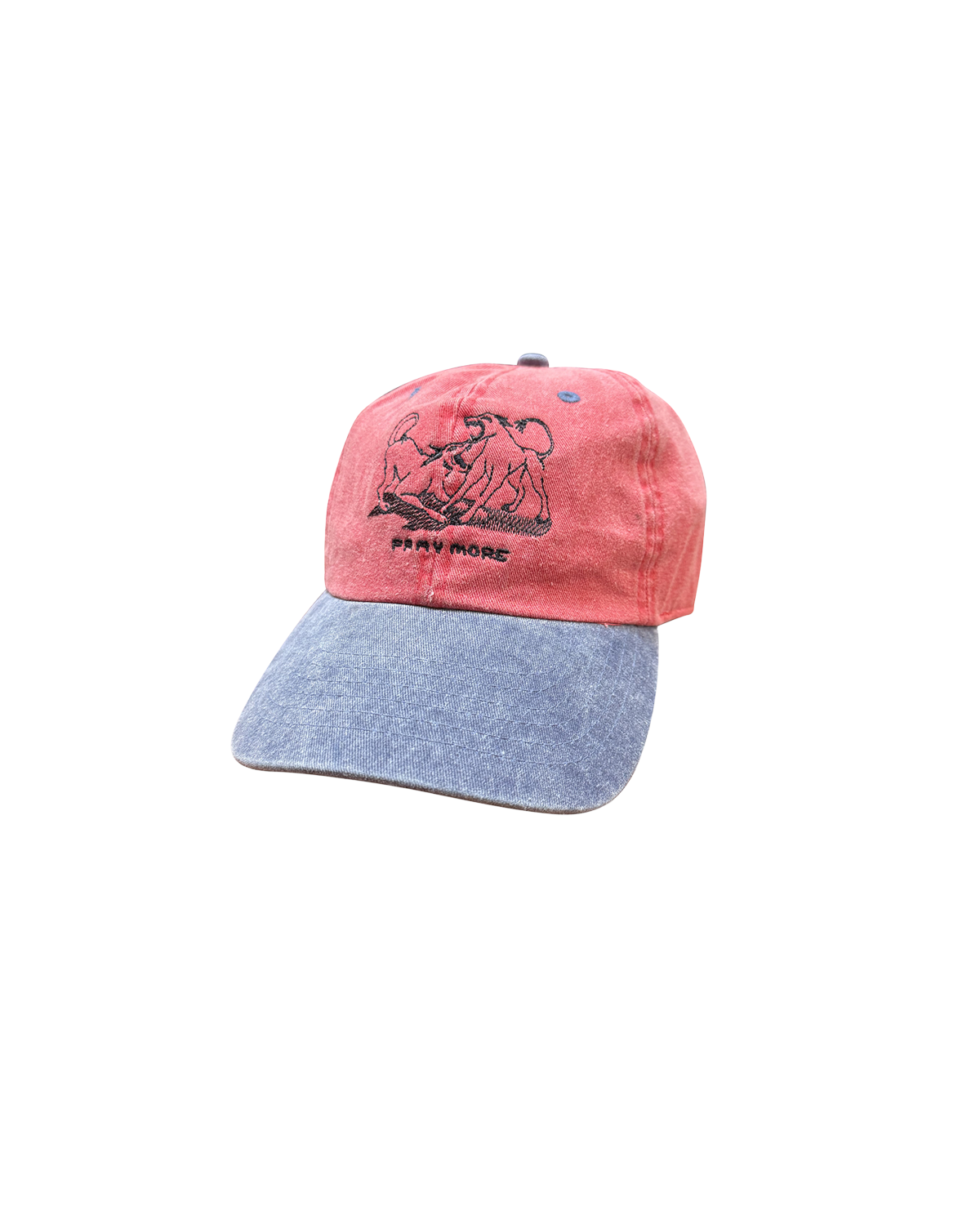 'pray' cap (washed two-tone)